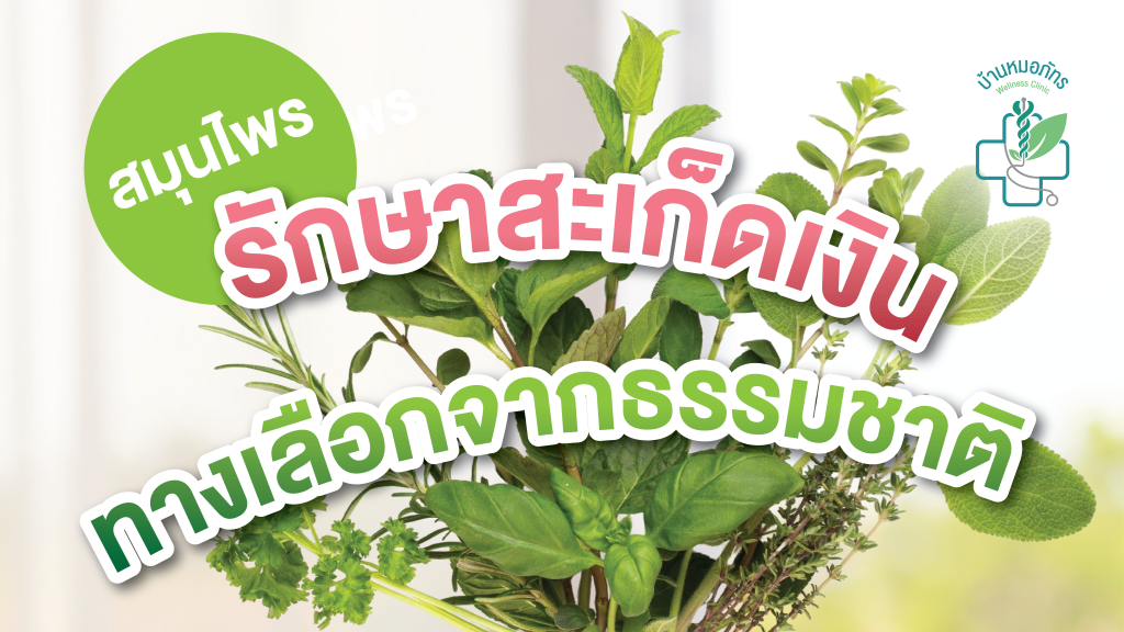 สมุนไพรรักษาสะเก็ดเงิน